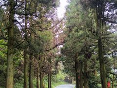 -南岳衡山风景名胜区