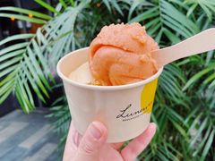 -Dip in Gelato(富民路店)