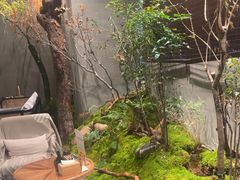 -森SPA·泰式按摩·精油Massage(宝安中心店)