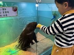 -FAIRYLAND龙族星球主题餐厅(凯丹广场店)