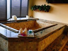 -春晖园度假酒店温泉