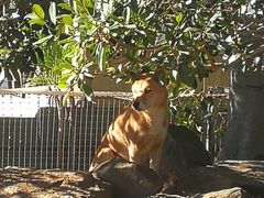 -费瑟代尔野生动物园