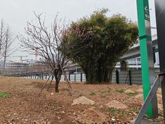 -后襄河公园