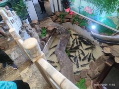 -春盛渔府(牛首山店)