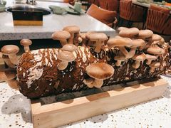 鲜活菌菇棒-椰子营·椰子鸡火锅(万象里店)