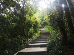 -小南山公园