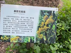 -中国科学院西双版纳热带植物园