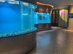 -碧涛阁水世界酒店·洗浴·自助(万家丽路店)