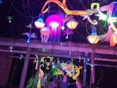 -广西壮族自治区药用植物园