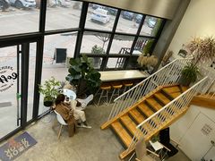 大堂-隹木咖啡馆(宝龙广场店)