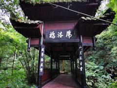 -峨眉山报国寺