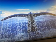 -CGV影城(黄河道ScreenX店)