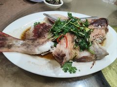 -天天海鲜城·海鲜大排档(新溪店)