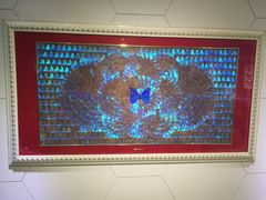 -上海昆虫博物馆