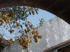 -吴作人艺术馆