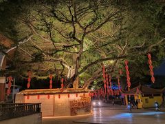 -仓山金山寺