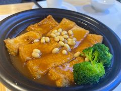 -鸽小宝(深圳首店)