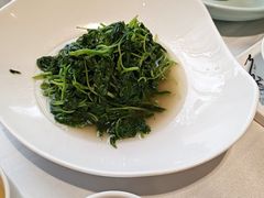 清炒米苋-老人和饭店(淮海中路店)