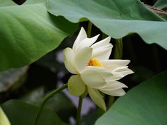 -北京动物园-畅观楼