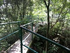 -宁波五龙潭景区