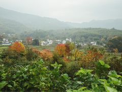 -塔川景区
