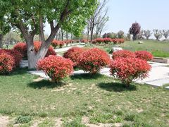 -汉长安城未央宫国家考古遗址公园