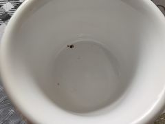 -柳沟豆腐宴义豆堂24号农家院