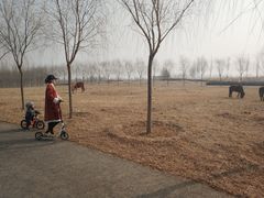 -兴安湖生态运动公园