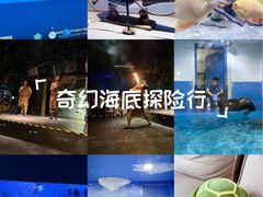 -重庆欢乐海底世界