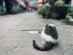-海窝子古镇