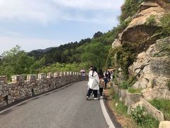 -木兰云雾山
