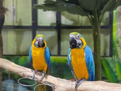 -海合安武汉极地海洋公园