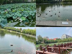 -中国农业博物馆