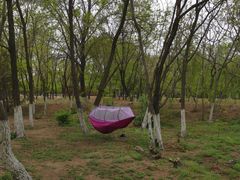 -长白岛森林公园