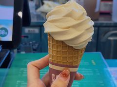 日世乳酪牛奶雪糕-CHOCHENG&CO.(欢乐海岸店)