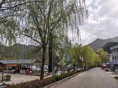 -王顺山国家森林公园