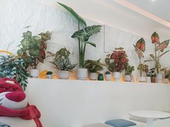 -山与蓝·轻糖鲜果蛋糕(勒泰店)