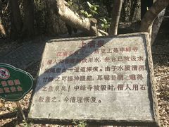 -上海佘山国家森林公园天马山园