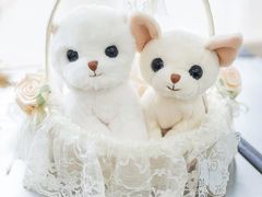 -七彩云南第壹城