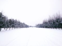 -汉长安城未央宫国家考古遗址公园