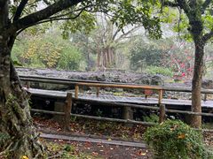 -海口火山口国家地质公园