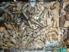 -船家渔(徐州北路店)