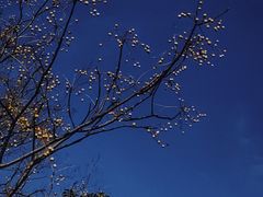 -南京市江宁方山