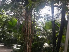 -北京植物园-展览温室