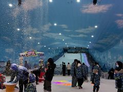 -世界之窗阿尔卑斯冰雪世界