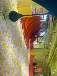 -宝燕乐园(闵行旗舰店)