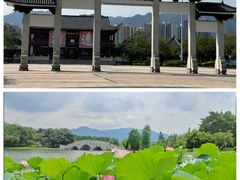 -飞来湖湿地公园