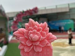 -曹州牡丹园