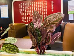 -好嫂子酱猪手•农家菜(蒲黄榆店)