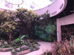 -陕西自然博物馆